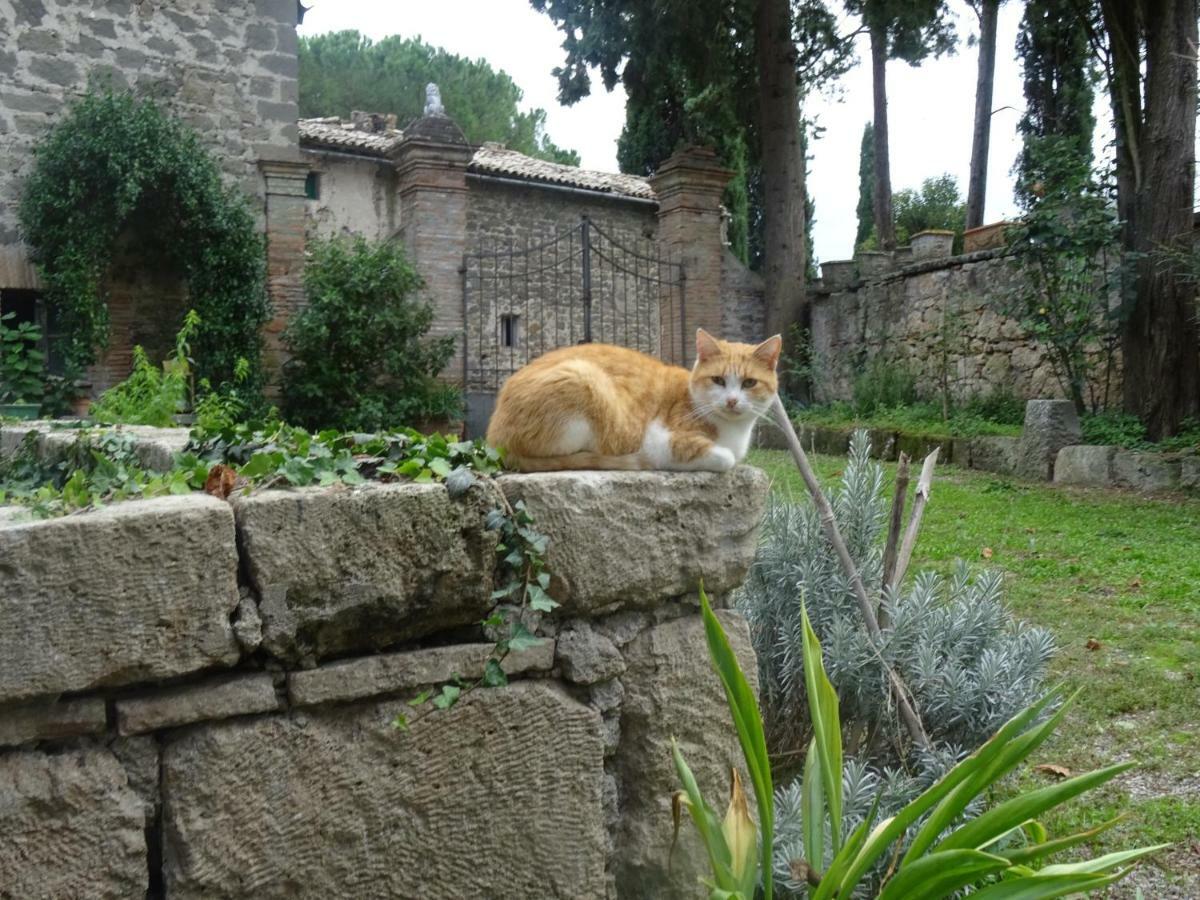 Appartamenti Lais In Sipicciano Exterior photo