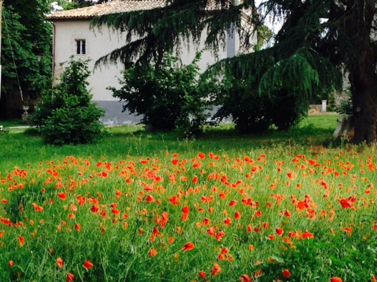 Appartamenti Lais In Sipicciano Exterior photo